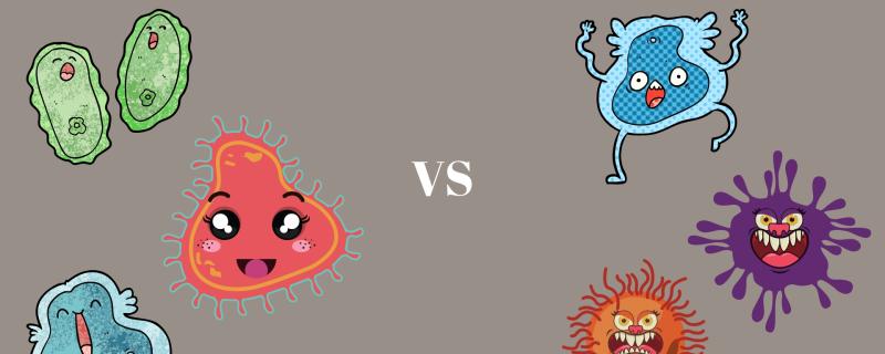 Scientists from ICAR-NDRI, Karnal, observed the competition between natural gut bacteria and pathogenic bacteria to produce microbeads that have the potential to fight pathogenic bacteria. 