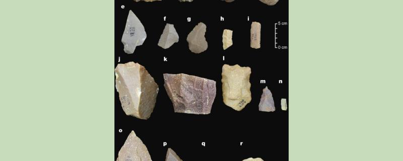 Photo : Dr. Shanti Pappu