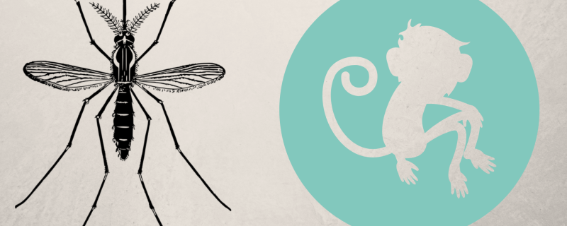 Photo: Annie with Canva