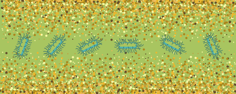 Photo: Annie, Gubbi Labs