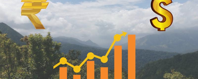 Infographic : Purabi Deshpande / Research Matters