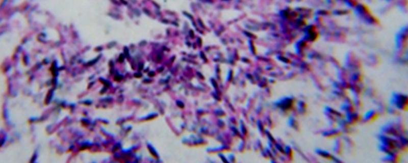 Photo : Aswin Srivatsav / Research Matters