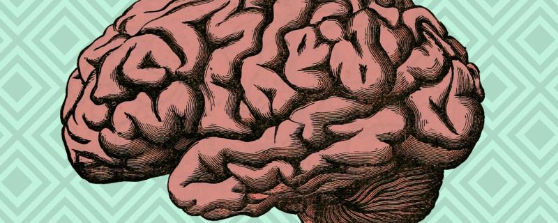 Credit: Annie Megan Santamaria/ Gubbi Labs