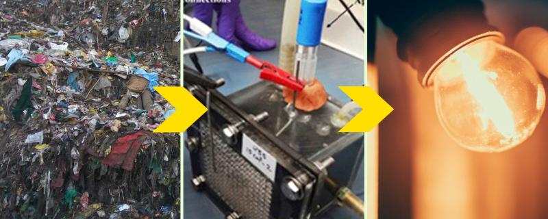 Photo : Vignesh Kamath & Purabi Deshpande / Research Matters