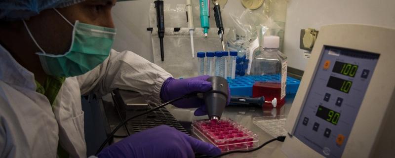 छायाचित्र : आरेदथ सिद्धार्थ, नंदिनी भोसले, हसन कुमार गुंडू, कम्युनिकेशन डिझाईन , आयडीसी, आयआयटी मुंबई