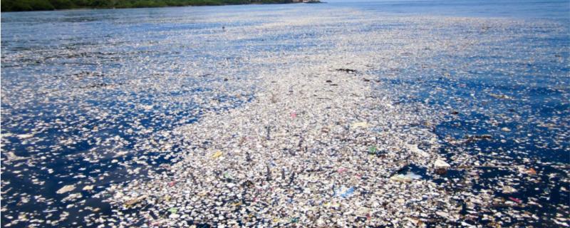 तैरते हुए प्लास्टिक के टुकड़े : ख़तरे की घंटी 