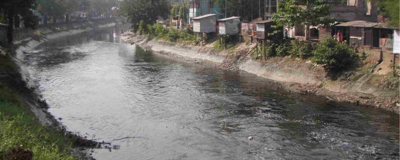 वैज्ञानिकों ने एक जीवाणु उपभेद की पहचान की है जो बजाय चीनी के, सुगंधित प्रदूषकों को खाना पसंद करता है ! 