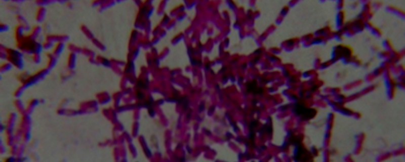 Photo : Aswin Srivatsav T / Research Matters