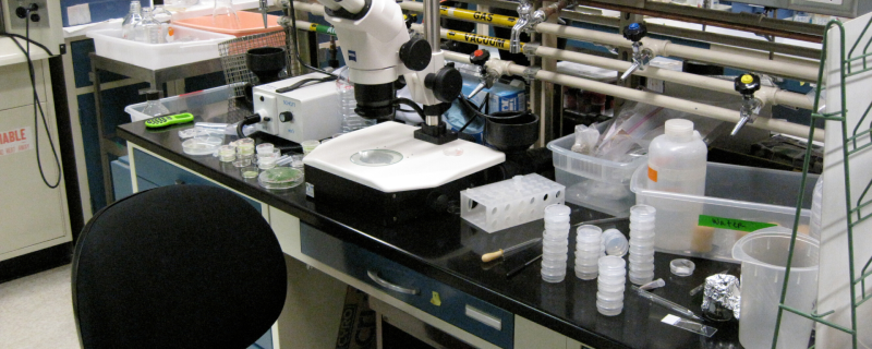 An Inexpensive Approach to Patterning Cells in a Lab