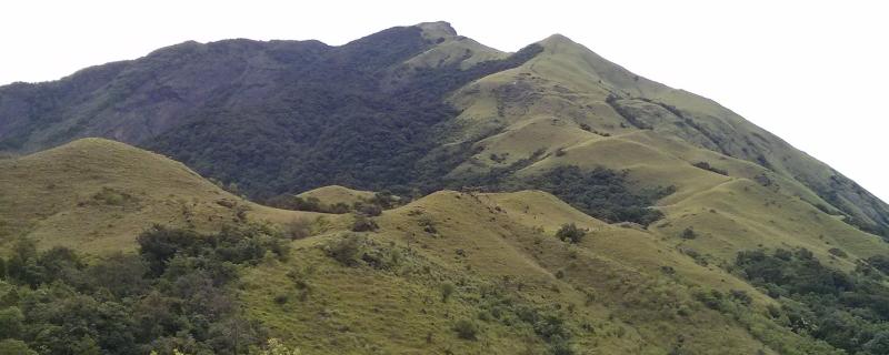 Photo : Vignesh Kamath / Research Matters