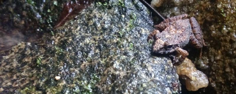 Photo : Vidisha Kulkarni / Research Matters