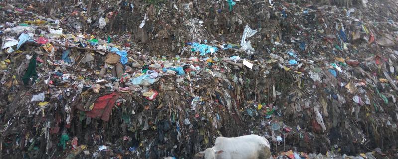 Photo : Vignesh Kamath / Research Matters