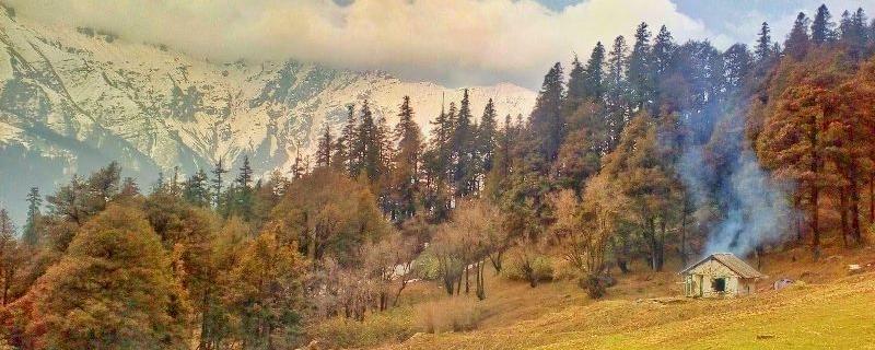 Warming climate is changing the alpine vegetation of the lofty Himalayas
