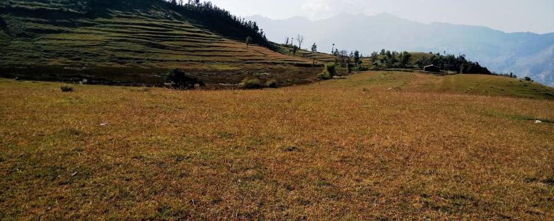 இந்தியாவின் சமதளப் புல்வெளிகளை இனம்கானும் இக்கட்டு!