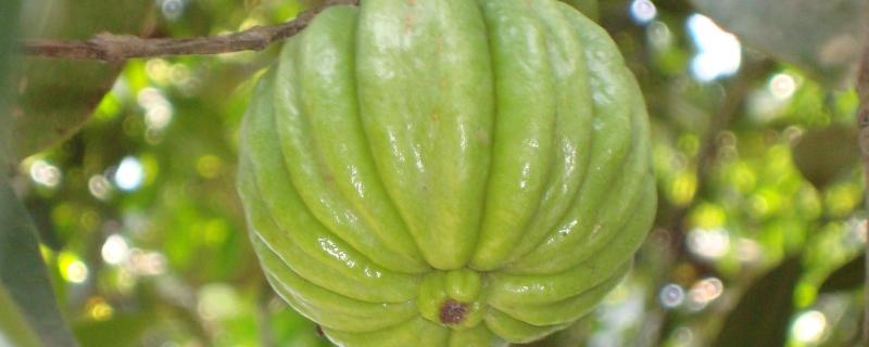 Photo: Vssun/ CC BY-SA 3.0