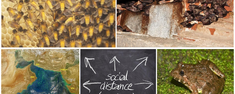 2020 ರ ರಿಸರ್ಚ್‌ ಮಾಟರ್ಸ್ ನ ಜನಪ್ರಿಯ ಕನ್ನಡ ಲೇಖನಗಳು