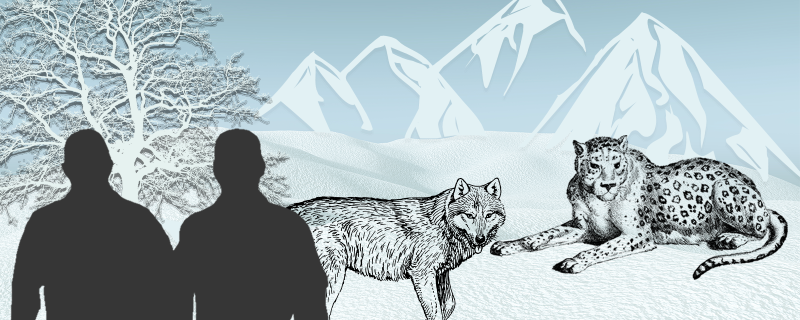 With snow leopards and wolves around, here’s how Ladakh can reduce human–wildlife conflicts