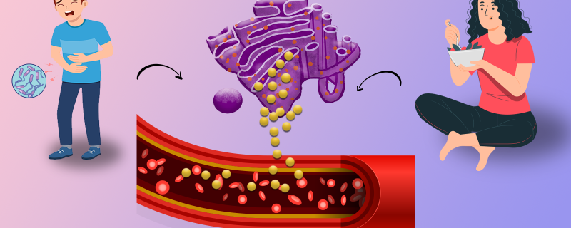 The Lipid Travel Diary