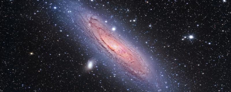 Molecular hydrogen making up galactic discs come in two forms