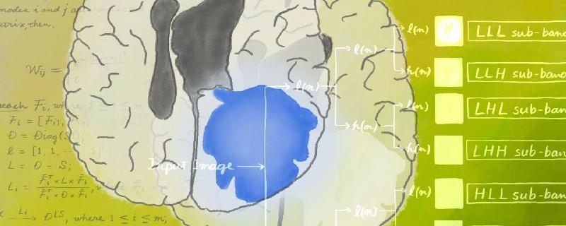 Machine Learning models to aid faster and easier detection of brain cancer