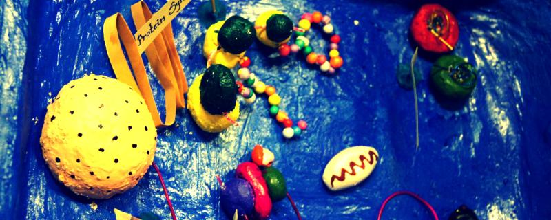 A schematic model depicting ribosomes engaged in translation