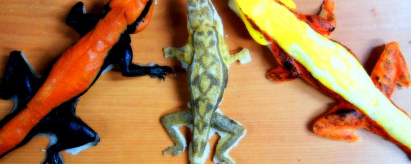 Artificial models of rock agamas from Prof. Thaker's lab