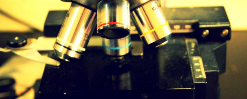 Photo : Siddharth Kankaria / Research Matters