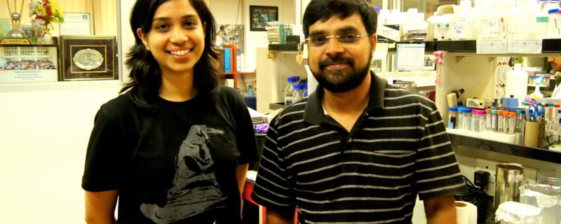 Prof. Sathees C. Raghavan (right) along with Ms. Supriya V. Vartak, Dept. of Biochemistry, IISc