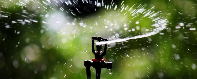 Photo : Anton Croos, Art of Photography via Wikimedia Commons