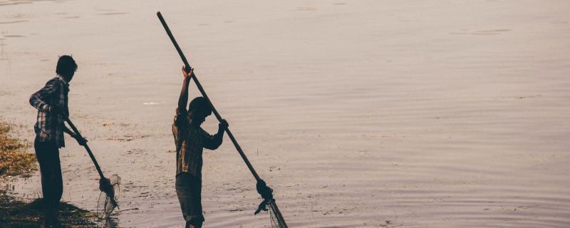 মিট্চেল এন জি লিয়াং, আনস্প্লাছৰ পৰা