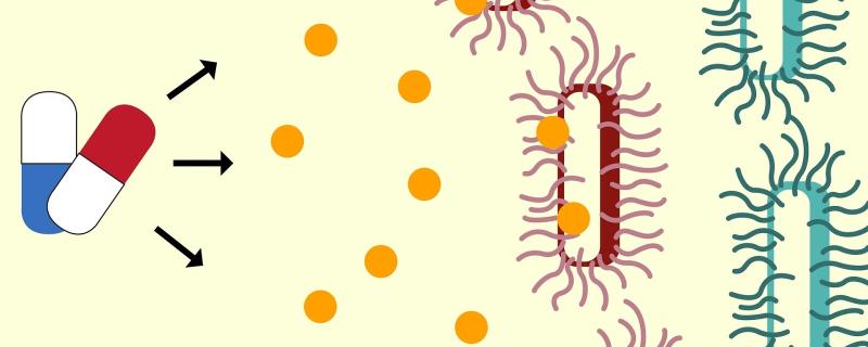 छायाचित्र : पूरबी देशपांडे, गुब्बी लॅब्स