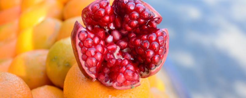 ಚಿತ್ರ: Unsplash ಅಲ್ಲಿ ಸಮಯ್ ಭಾವ್ಸರ್