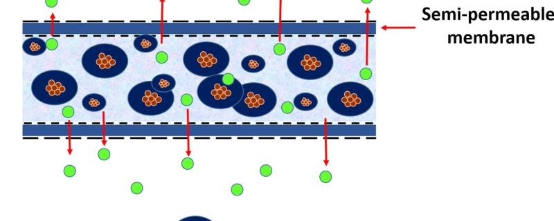 জয়েশ বেল্লাৰে