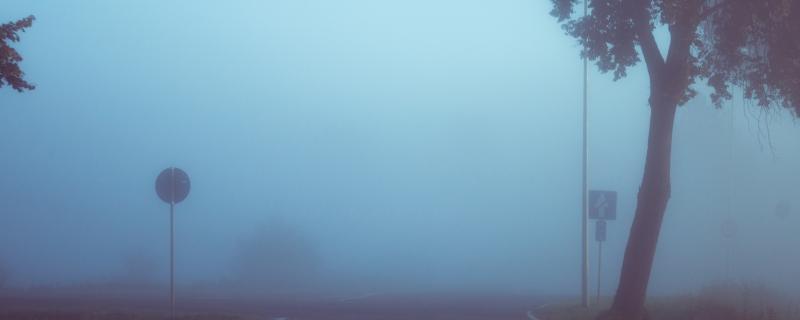 పొగమంచు లో దృశ్యత