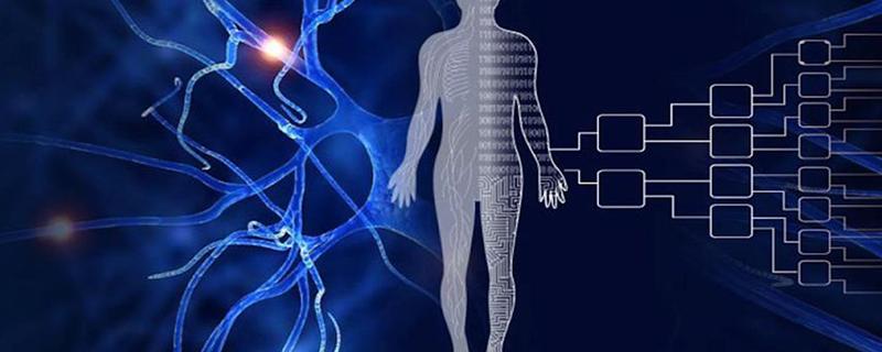 বিদ্যাৰ্থীসকলে এতিয়া সহায় কৰিব পাৰে ‘প্ৰকল্প মানৱ - মানৱ মানচিত্ৰৰ’ নিৰ্মাণত