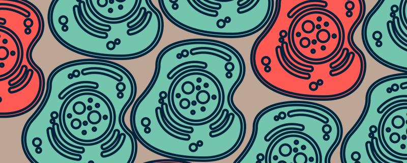 Illustration : Purabi Deshpande / Research Matters