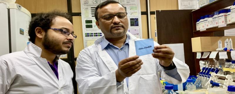 Mitochondria kill themselves to protect neurons from an early death