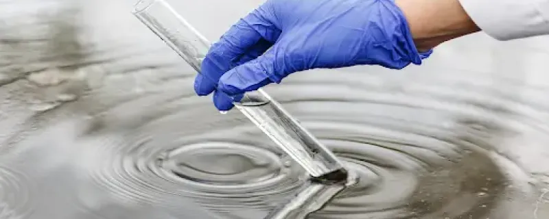 Single-Step Method to Make High-Performance Nanoparticle-Coated Microfibres