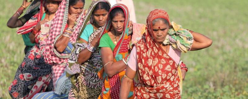 Too heavy a burden? Onus of farm labour on women may be contributing to malnourishment in India, says study