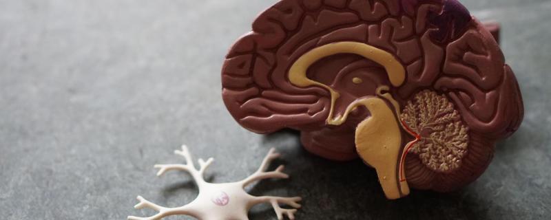 Tracing the origins of Parkinson’s disease