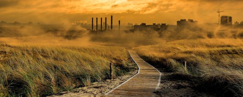 Fertilisers, livestock and biomass burning are spewing ammonia into the air across India