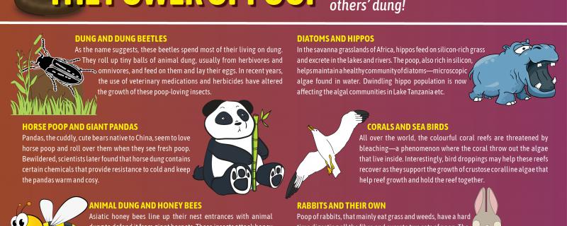 The power of poop
