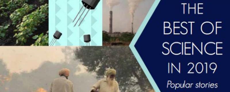 Popular articles on Research Matters for 2019