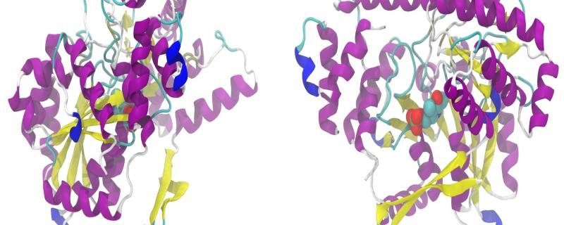 What causes tau to tangle?