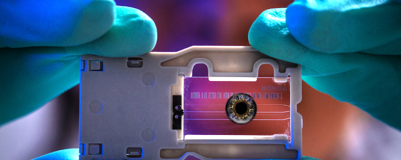 A novel retinal model mimicking the human visual system