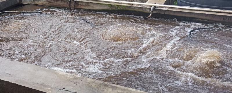 A small-scale wastewater treatment plant. Photo: H. S. Sudhira
