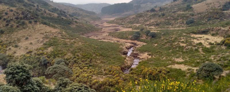 Study provides insights into natural radioactivity in the Western Ghats