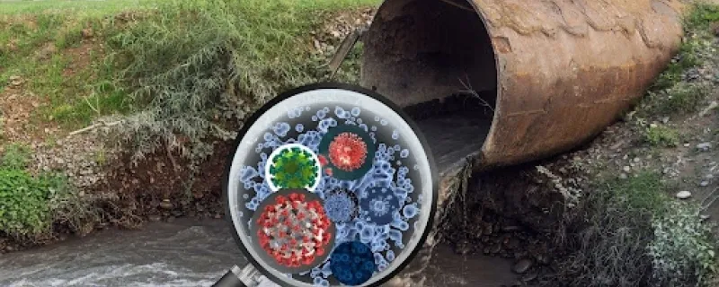 Wastewater Health Surveillance: Tracking Flu, RSV, and COVID-19 Variants from the Sewers Up