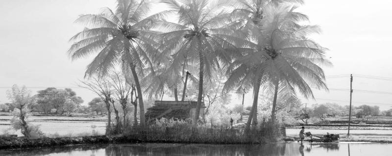 Slipping away from the surface: Impact of Kerala 2018 floods on soil erosion