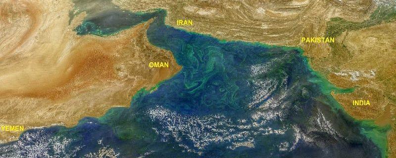 ಅರಬ್ಬೀ ಸಮುದ್ರದಲ್ಲಿ ಜೈವಿಕದೀಪ್ತಿಯಿಂದ ಹೊಳೆಯುವ ಪಾಚಿಗೂ, ದೂರದ ಹಿಮಾಲಯದಲ್ಲಿ ಕರಗುವ ಹಿಮಕ್ಕೂ ಎತ್ತಣಿಂದೆತ್ತ ಸಂಬಂಧವಯ್ಯ?